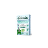 Ricola Glacier Peppermint Sugar Free Box - 45gm