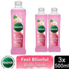 RADOX HERBAL BATH FEEL BLISSFUL - 500ML